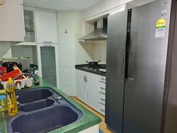 Evergreen Park (D19), Apartment #464234661